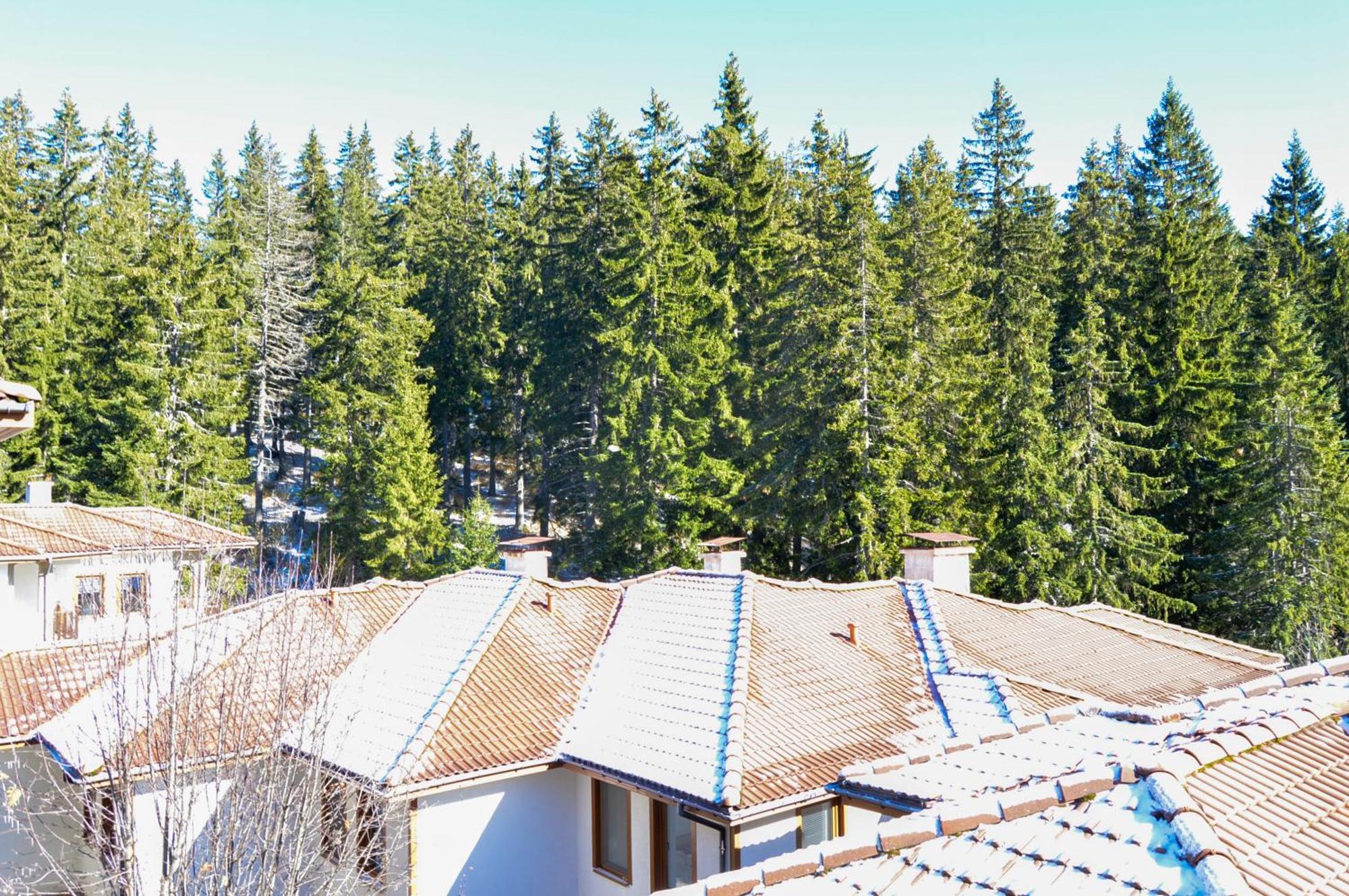Myplace Pamporovo Апартаменти За Отдих ภายนอก รูปภาพ
